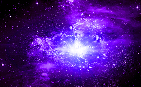 自动攻击网站工具下载