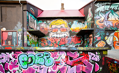 自动攻击网站工具下载